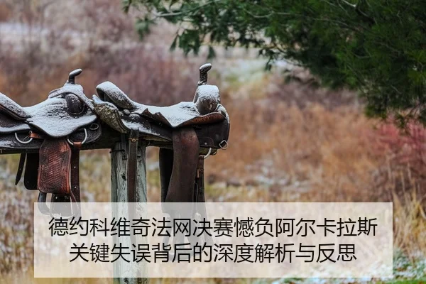 德约科维奇法网决赛憾负阿尔卡拉斯 关键失误背后的深度解析与反思