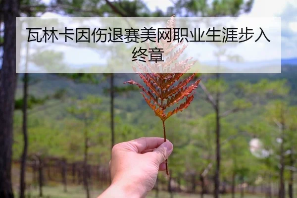wa-lin-ka-yin-shang-tui-sai-mei-wang-zhi-ye-sheng-ya-bu-ru-zhong-zhang-2-502.jpg