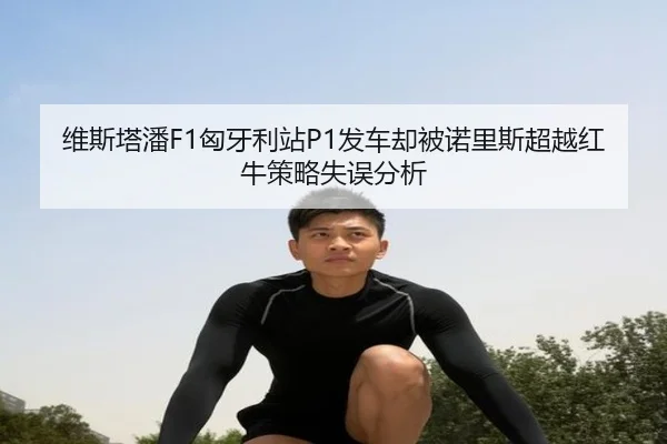 wei-si-ta-pan-xiong-ya-li-zhan-fa-che-que-bei-nuo-li-si-chao-yue-hong-niu-ce-lve-shi-wu-fen-xi-2-348.jpg